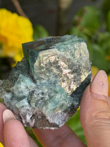 50 Year Pocket Fluorite Specimen from Weardale UK