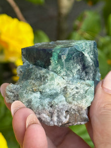 50 Year Pocket Fluorite Specimen from Weardale UK