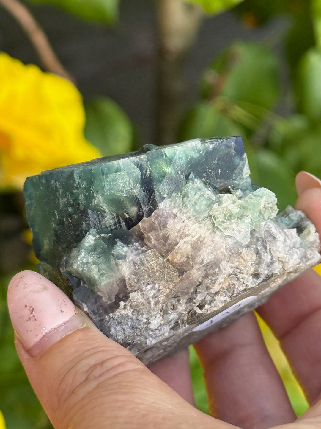 50 Year Pocket Fluorite Specimen from Weardale UK