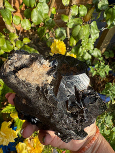Large Black Tourmaline Specimen