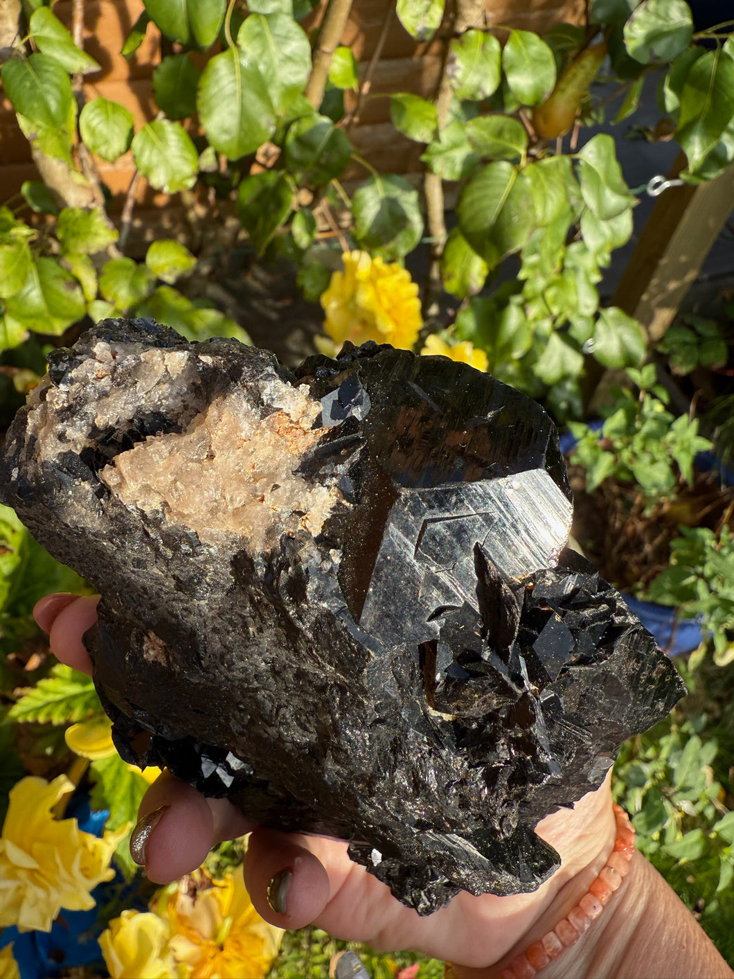 Large Black Tourmaline Specimen