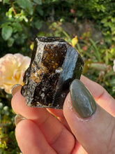Load image into Gallery viewer, Terminated Yinnietharra Dravite Tourmaline Specimen
