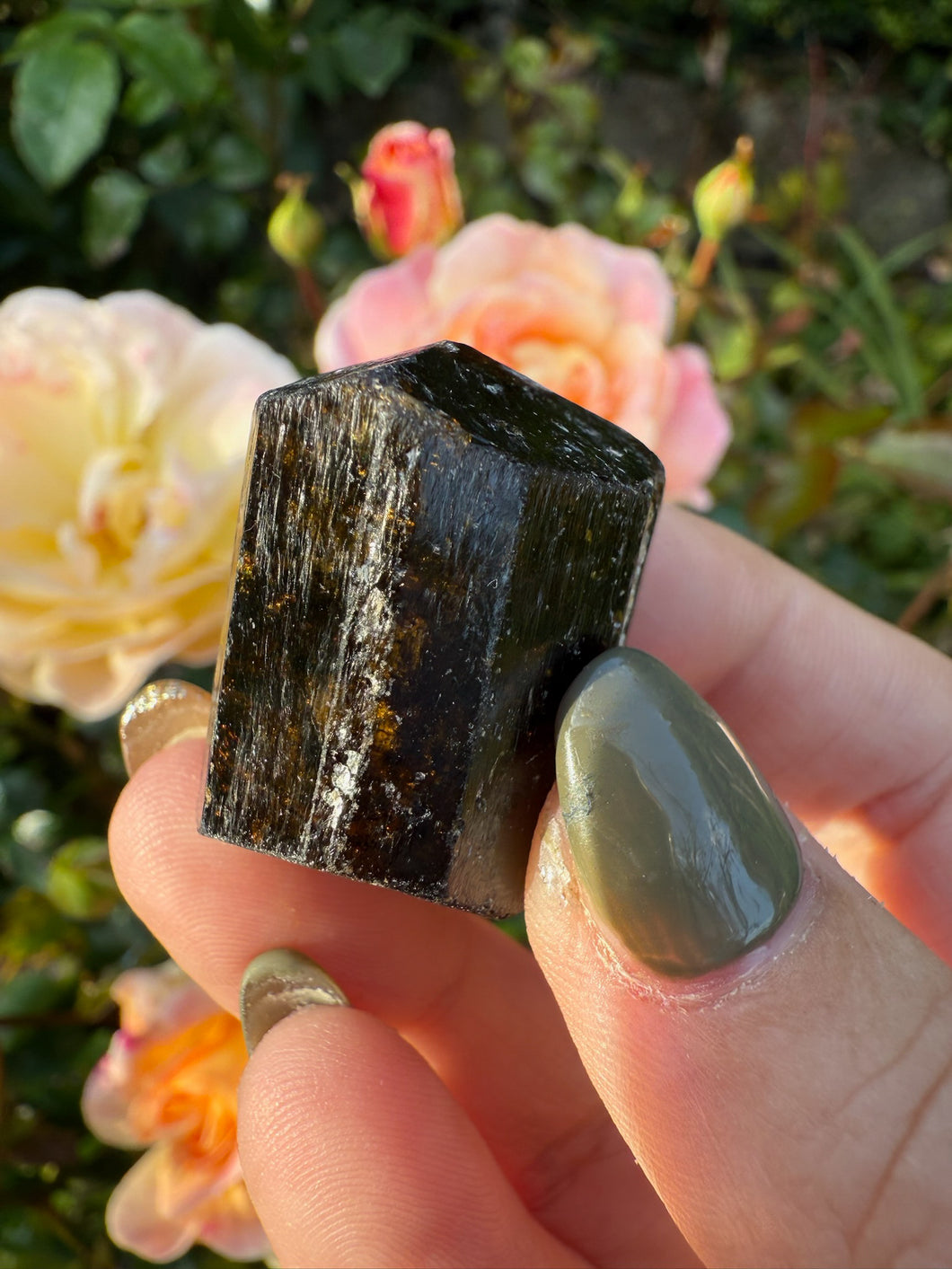 Terminated Yinnietharra Dravite Tourmaline Specimen