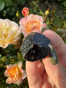 Terminated Yinnietharra Dravite Tourmaline Specimen