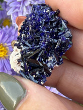Load image into Gallery viewer, Cobalt Blue Azurite Specimen from Tsumeb Mine
