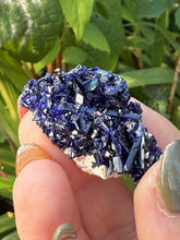 Load image into Gallery viewer, Cobalt Blue Azurite Specimen from Tsumeb Mine
