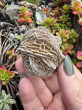 Load image into Gallery viewer, Desert Rose Specimen
