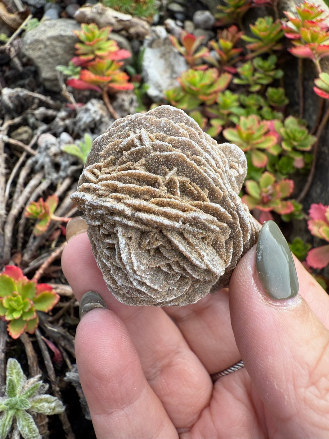 Desert Rose Specimen
