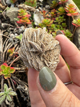 Load image into Gallery viewer, Desert Rose Specimen
