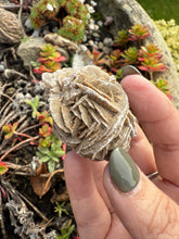 Load image into Gallery viewer, Desert Rose Specimen Mexico
