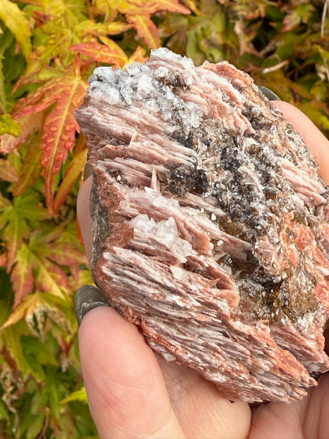 Sparkly Barite and Quartz from Morocco