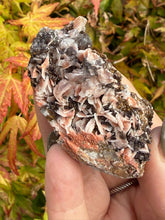Load image into Gallery viewer, Barite and Calcite Specimen from Morocco
