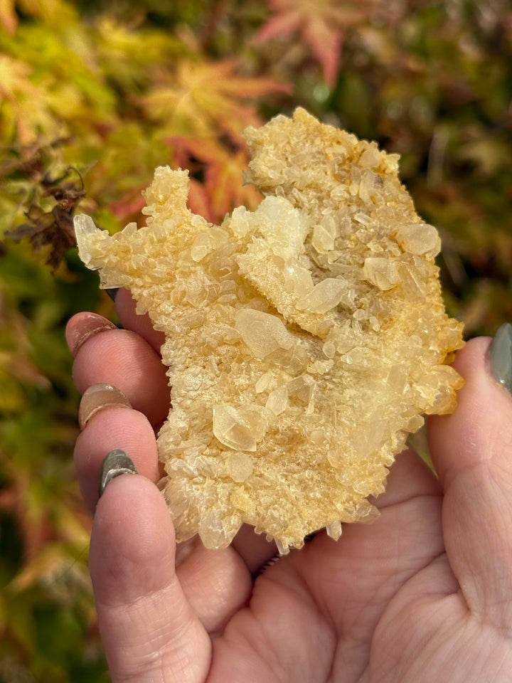 Sparkly Quartz Specimen with Limonite