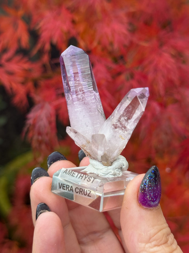 Vera Cruz Amethyst Specimen