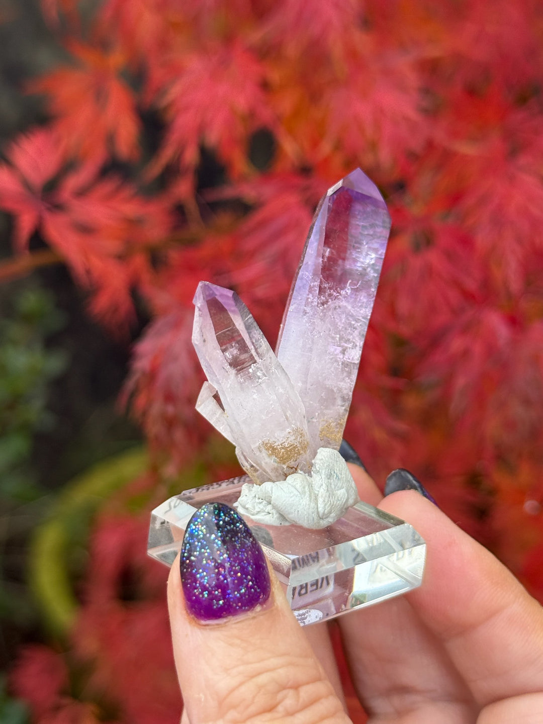 Vera Cruz Amethyst Specimen
