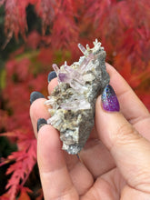 Load image into Gallery viewer, Vera Cruz Amethyst Specimen
