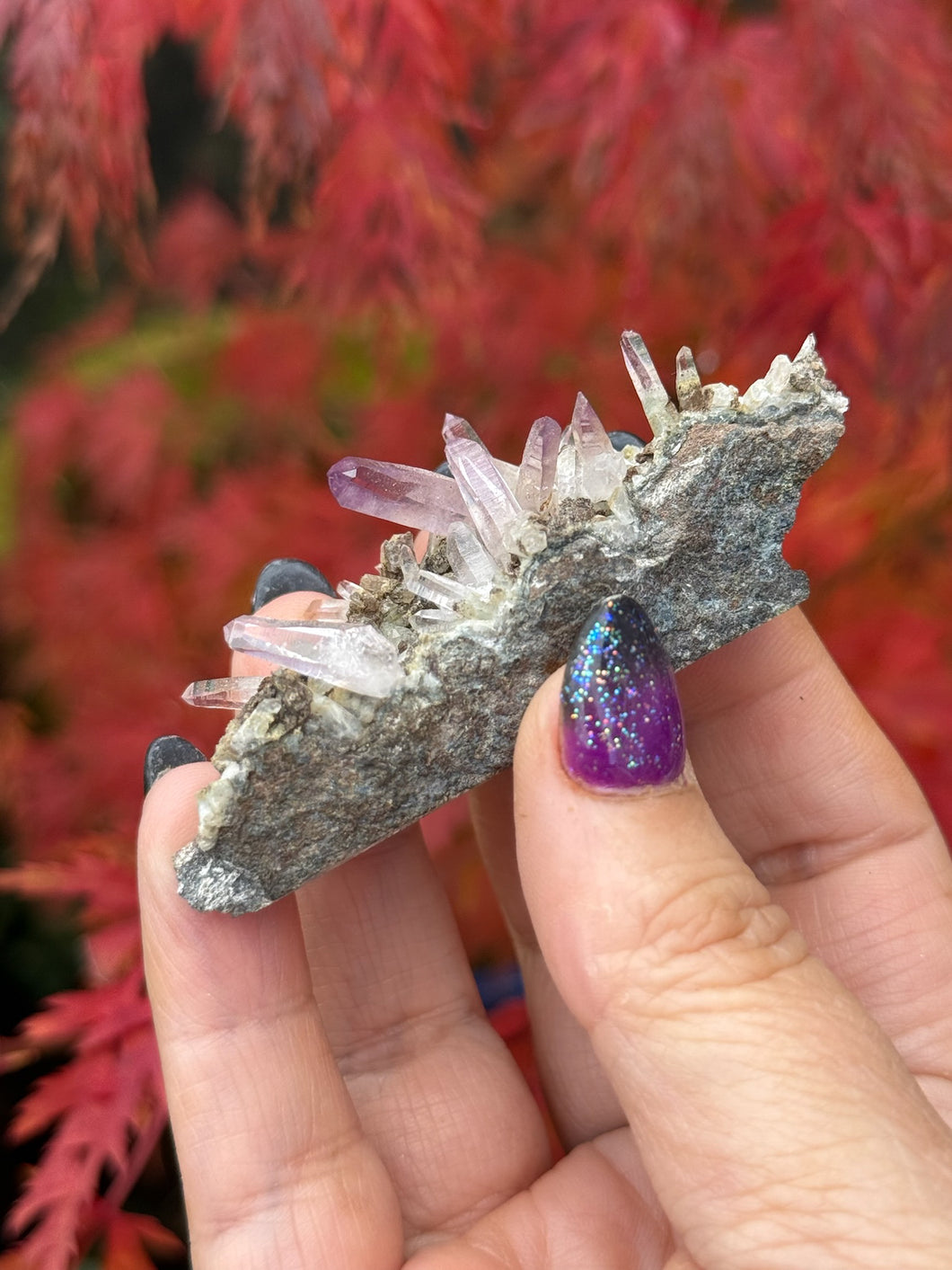 Vera Cruz Amethyst Specimen