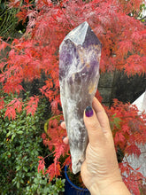 Load image into Gallery viewer, Large Amethyst Root Point Specimen
