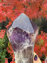 Load image into Gallery viewer, Large Amethyst Root Point Specimen
