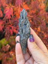 Load image into Gallery viewer, Black Kyanite Spray Specimen
