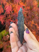 Load image into Gallery viewer, Black Kyanite Spray Specimen
