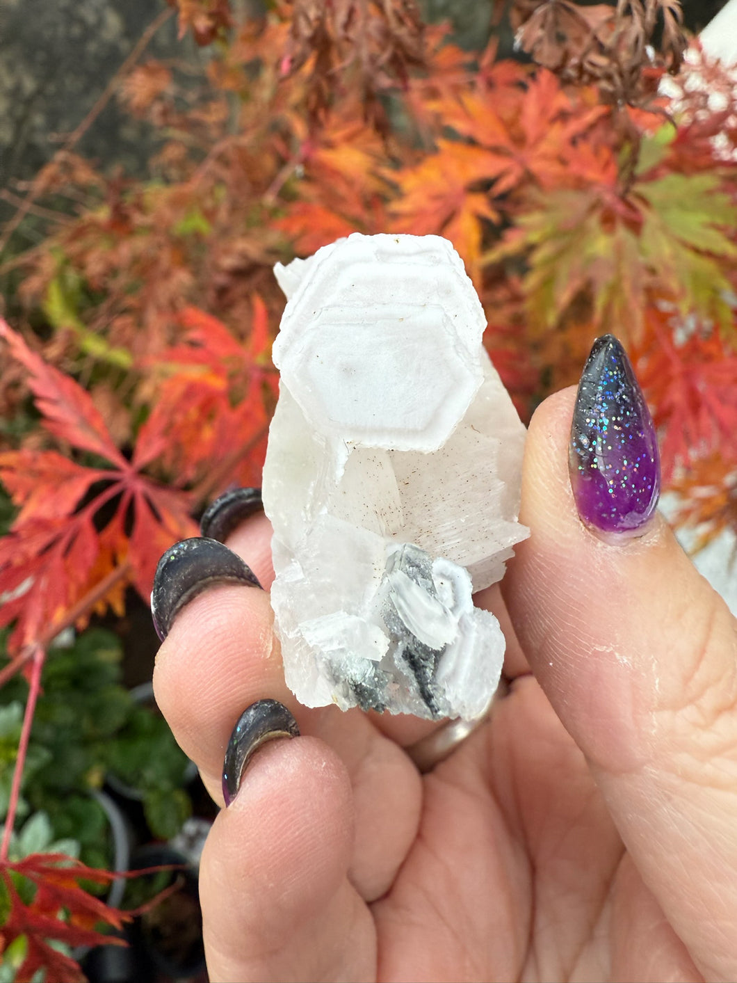 UV Reactive Poker Chip Hexagonal Calcite Specimen