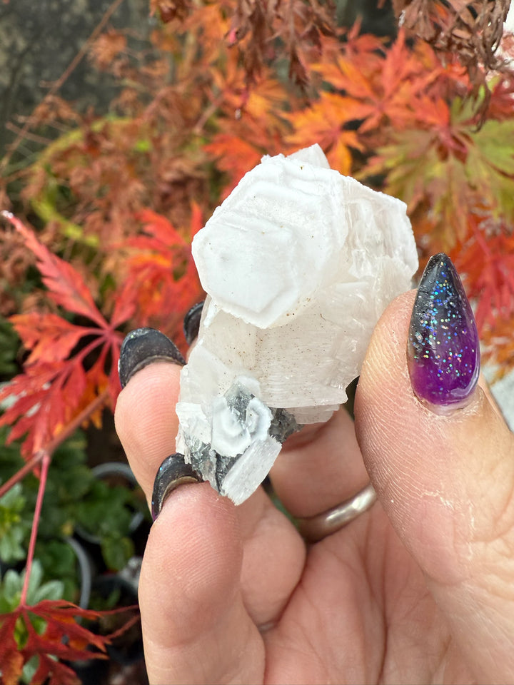 UV Reactive Poker Chip Hexagonal Calcite Specimen