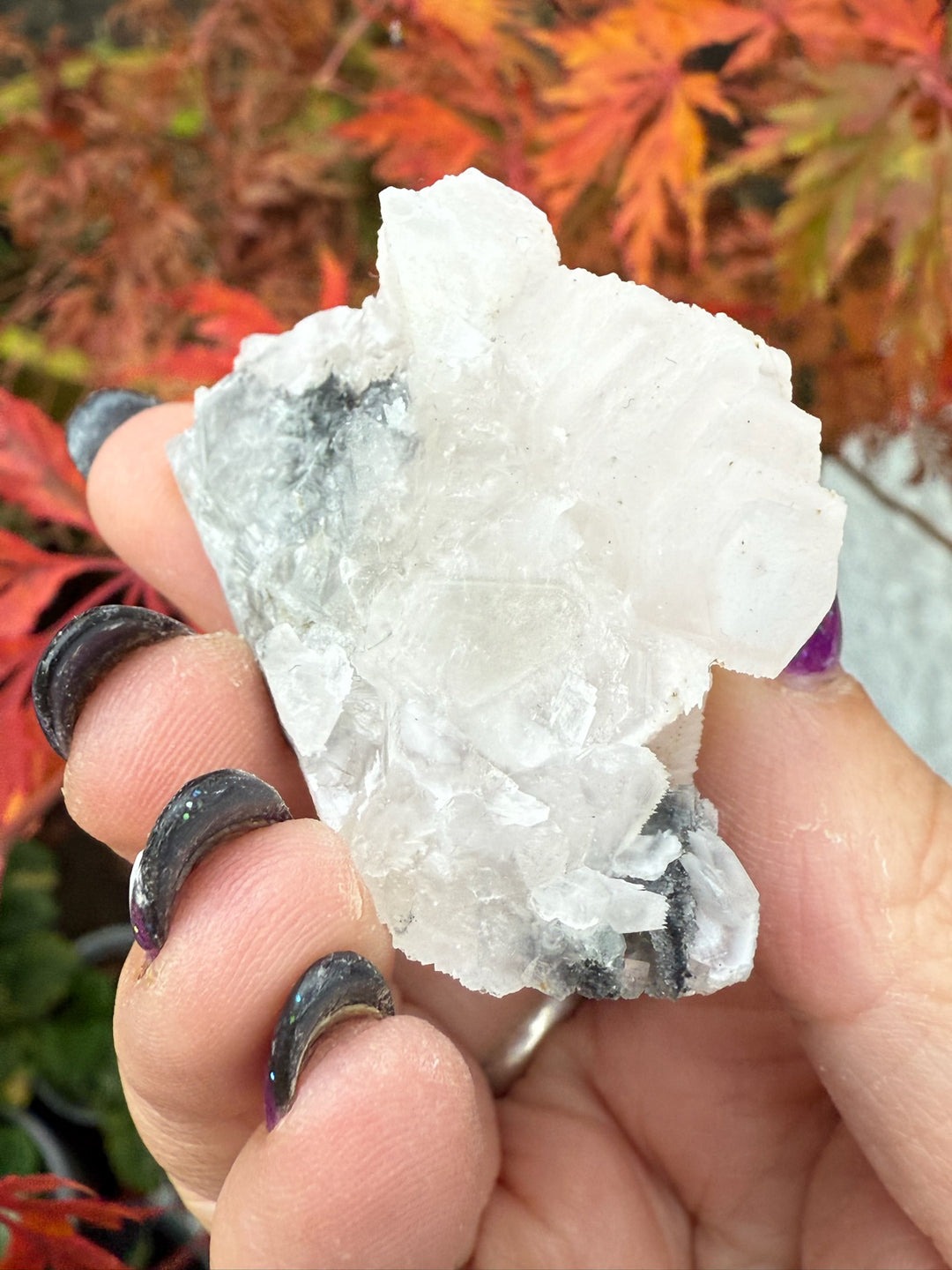 UV Reactive Poker Chip Hexagonal Calcite Specimen