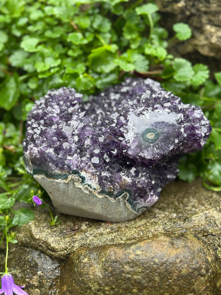 Freestanding Uruguay Amethyst Stalactite Cluster Specimen