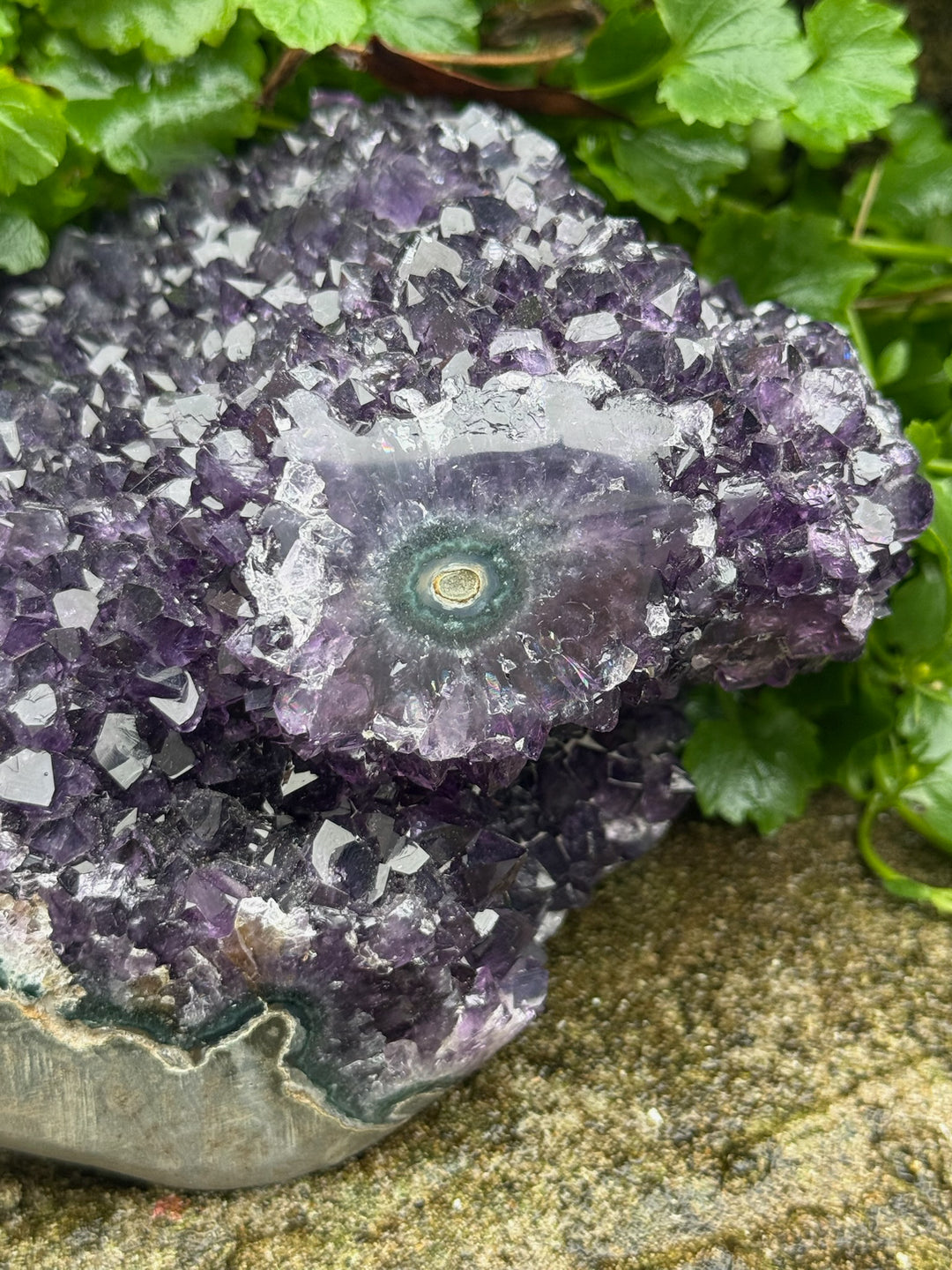 Freestanding Uruguay Amethyst Stalactite Cluster Specimen
