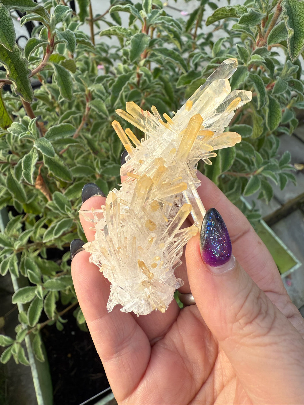 High Quality Golden Healer Quartz Specimen from Columbia