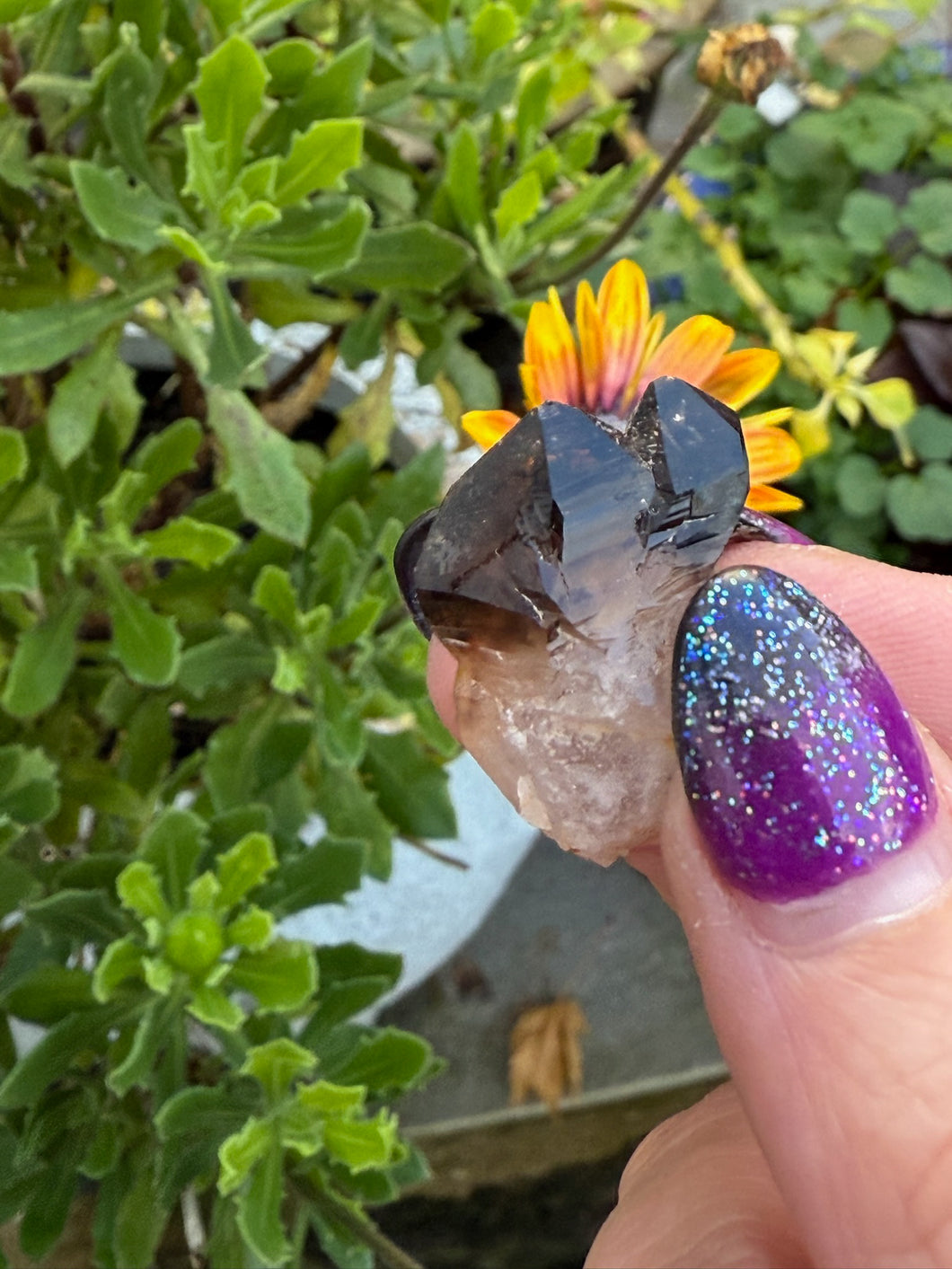 Natural Smoky Elestial Quartz from South Africa