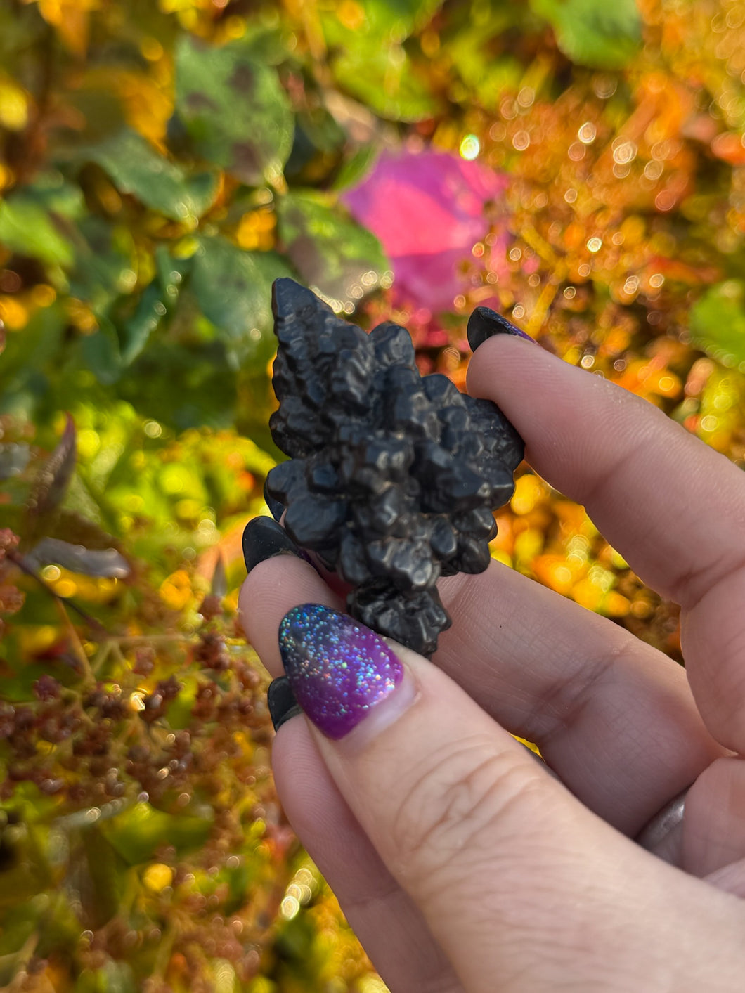 Large Prophecy Stone Specimen