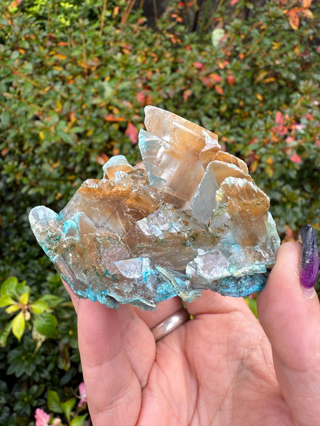 Gibbsite on Selenite Specimen