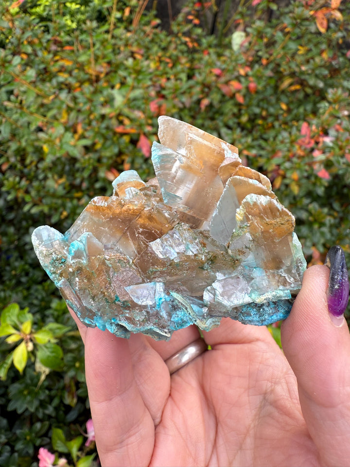Gibbsite on Selenite Specimen