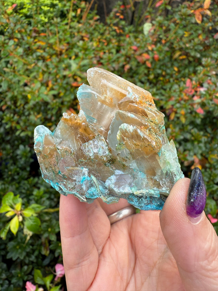 Gibbsite on Selenite Specimen
