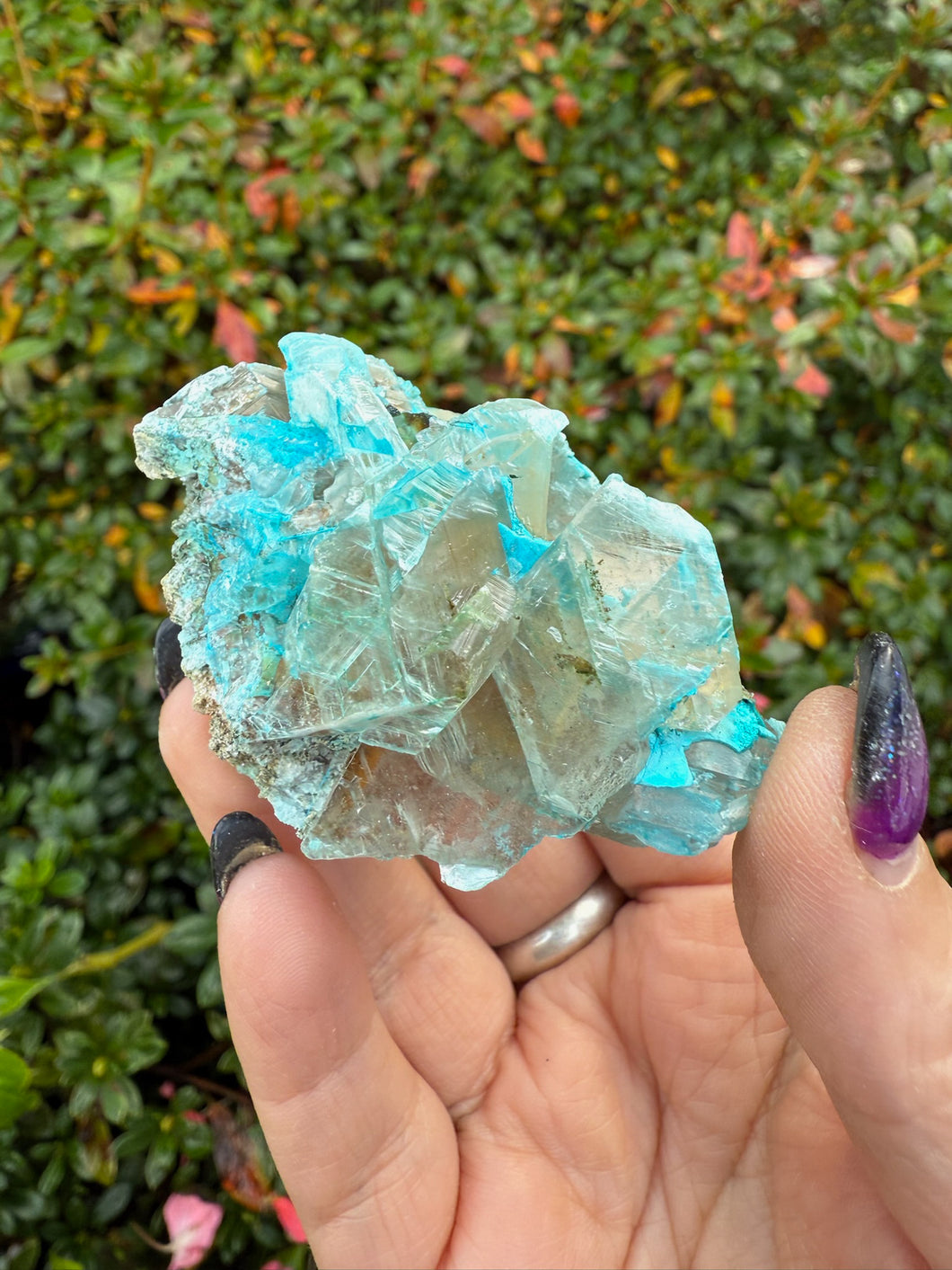 Gibbsite on Selenite Specimen