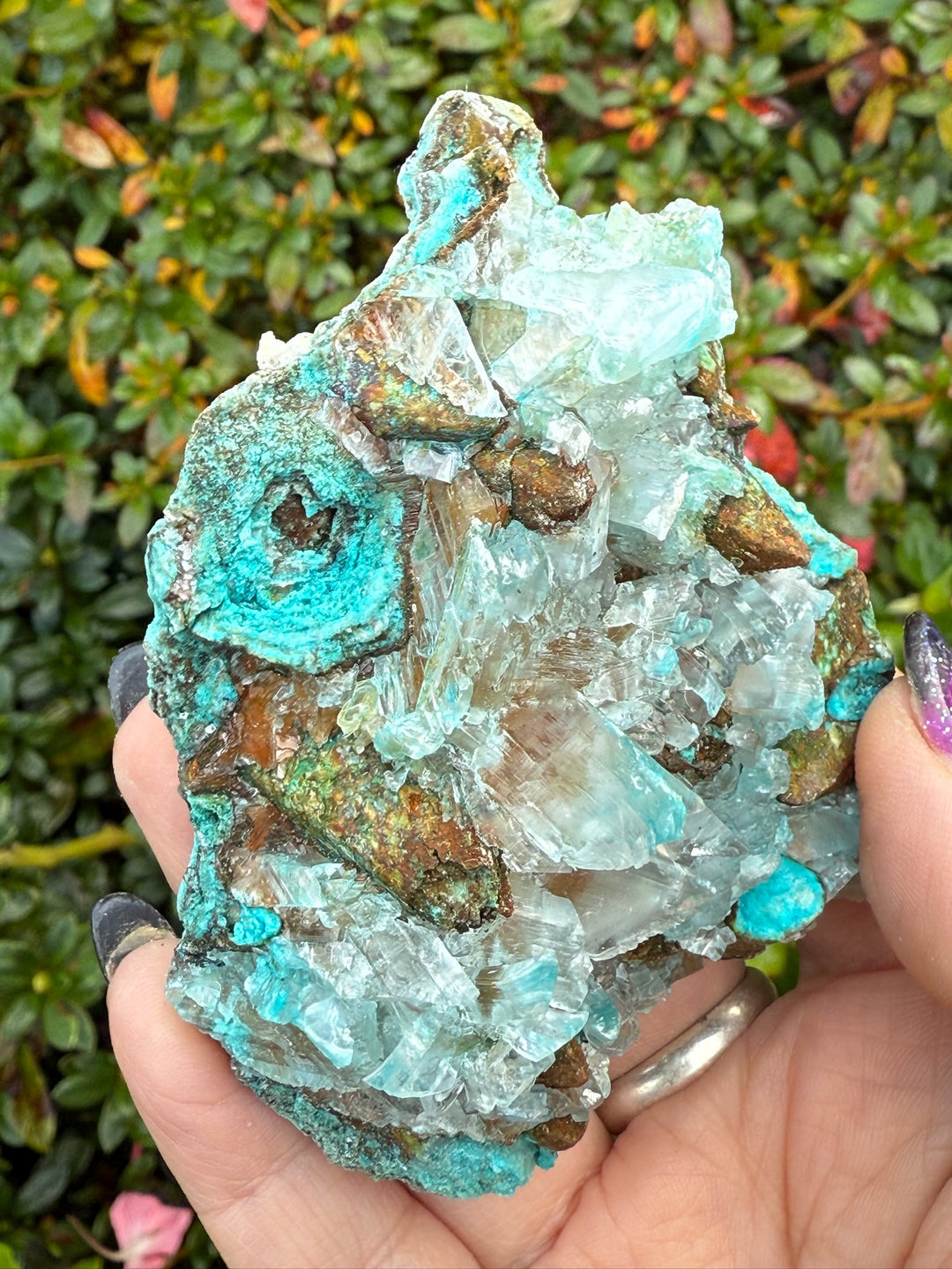 Large Gibbsite on Selenite Specimen