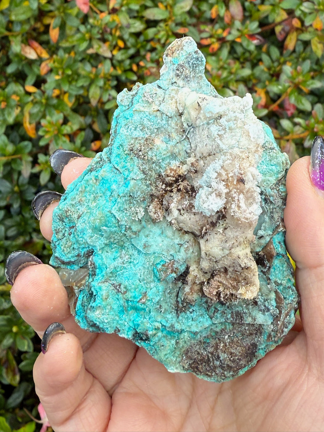 Large Gibbsite on Selenite Specimen