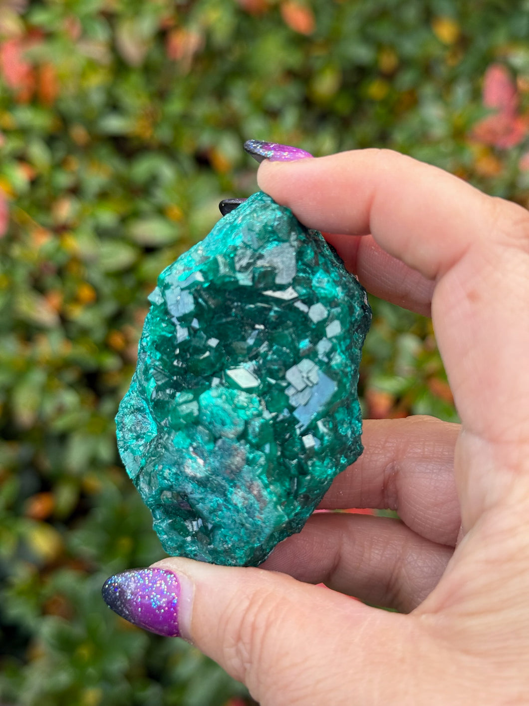 Large Vibrant Dioptase Specimen