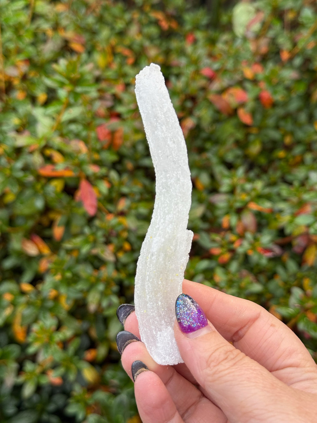 Green Uv Reactive Rams Horn Selenite Specimen