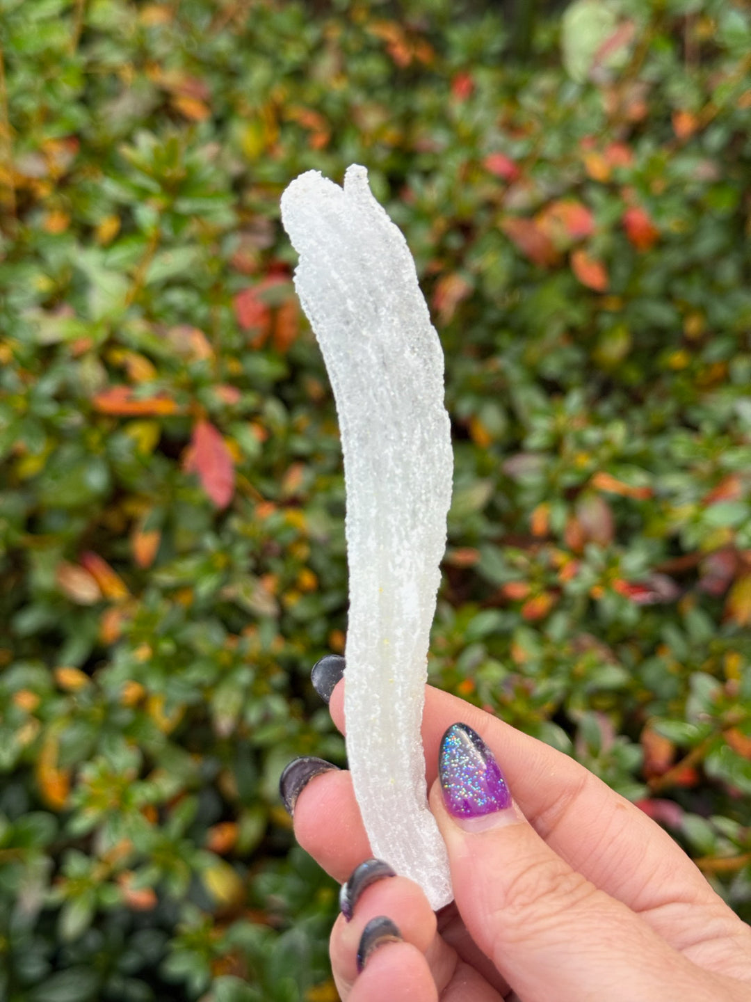 Green Uv Reactive Rams Horn Selenite Specimen