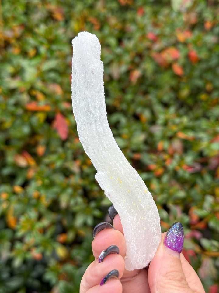 Green Uv Reactive Rams Horn Selenite Specimen