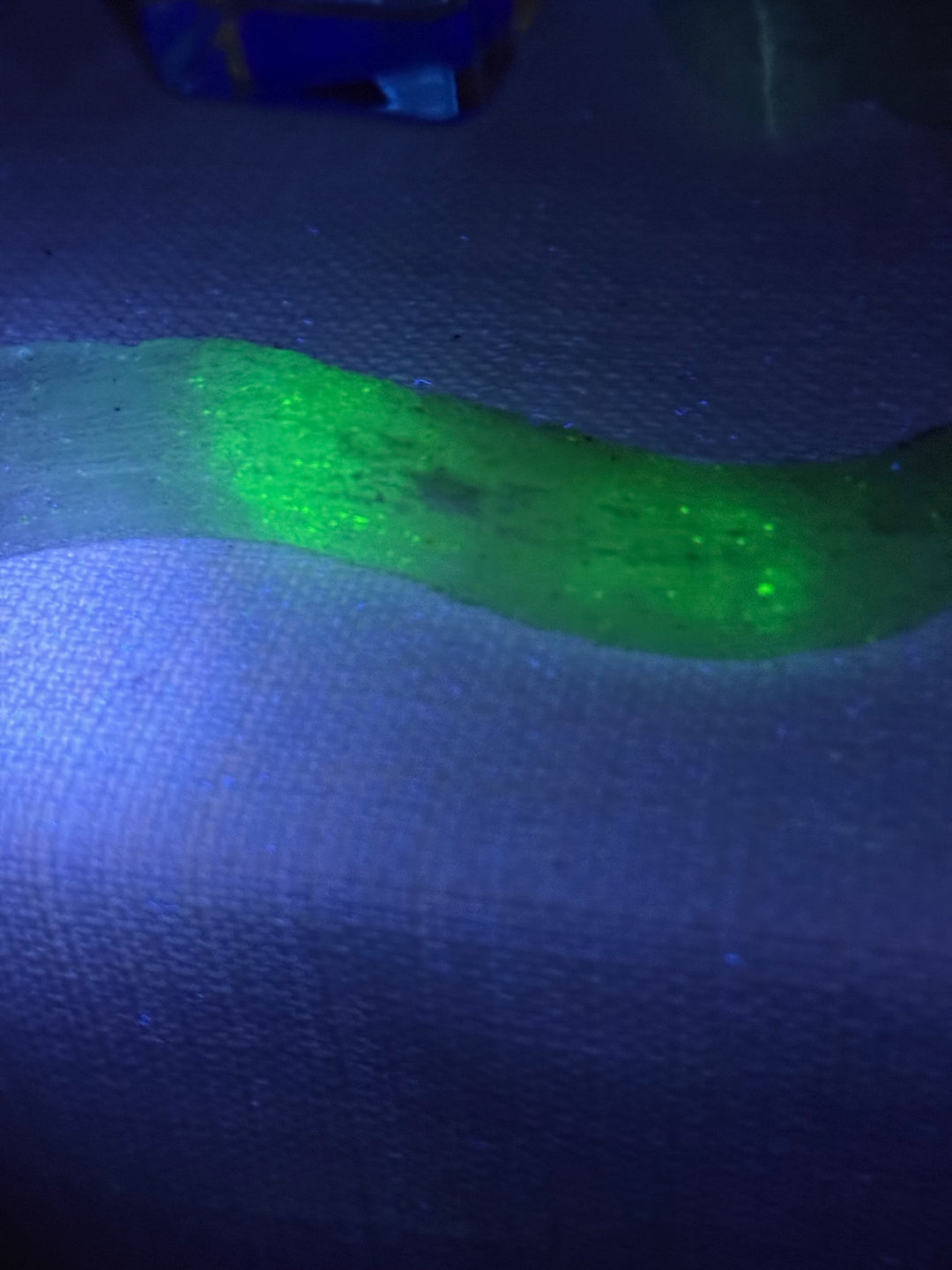 Green Uv Reactive Rams Horn Selenite Specimen