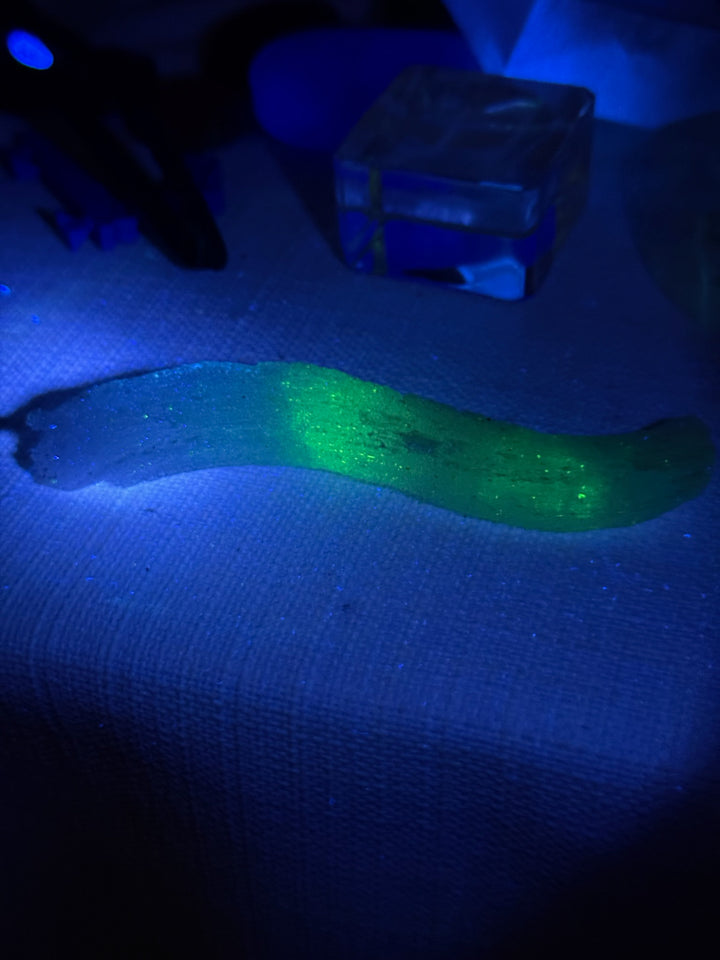 Green Uv Reactive Rams Horn Selenite Specimen