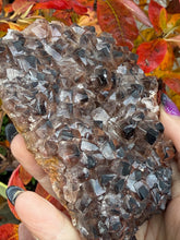 Load image into Gallery viewer, Rare Rosewood Calcite Specimen from Hubei
