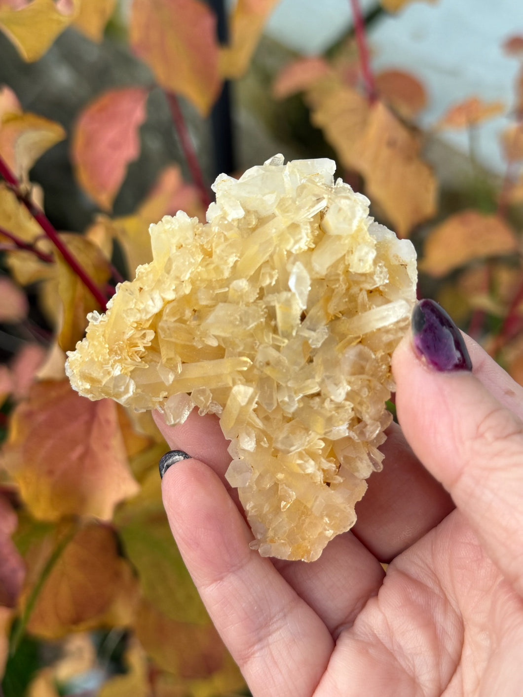 Double Sided Quartz Specimen with Limonite