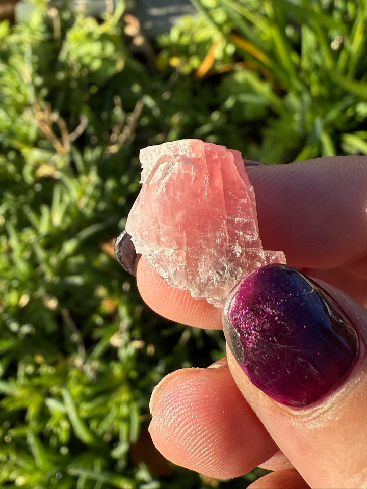 Gemmy Rhodochrosite with Quartz Specimen
