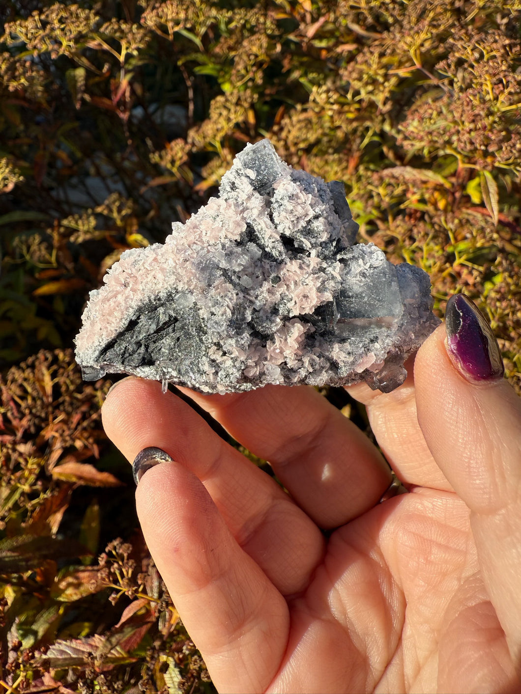 Rhodochrosite with UV reactive Fluorite Cubes Specimen