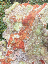 Load image into Gallery viewer, Statement Adamite Specimen from Mexico
